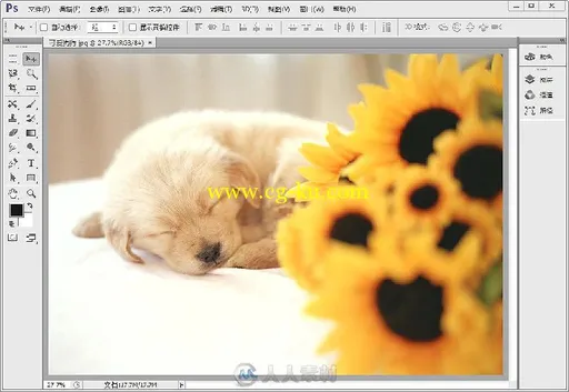 Photoshop CS6这样学更简单的图片5