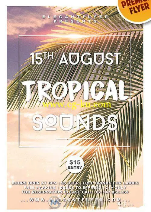 海岛音乐海报展示PSD模板Tropical_Sounds_aaa的图片1