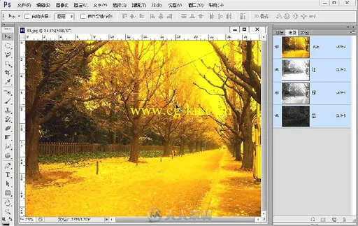 PhotoshopCS6中文版完全学习手册的图片3