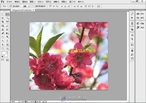 Photoshop CS6中文版入门与提高的图片6