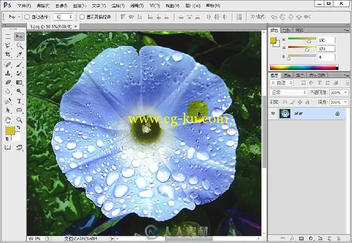 Photoshop CS6完全自学经验分享的图片4