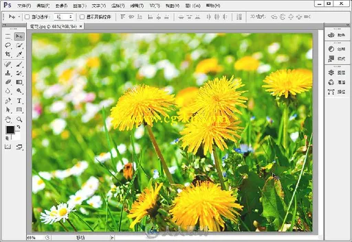 图像处理大师：Photoshop CS6完全学习手册的图片5