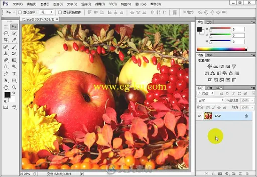 图像处理大师：Photoshop CS6完全学习手册的图片6