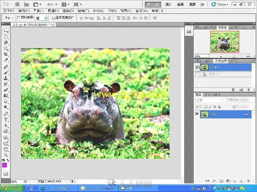 早该这样学：Photoshop CS5图像处理的图片3