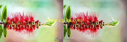 Topaz Impression手绘艺术特效PS插件V2.0.4版 Topaz Impression 2.0.4 Win x64的图片11