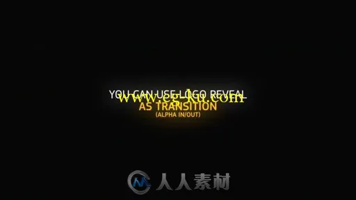 时尚闪光标志LOGO演绎AE模板 Videohive Flash Logo 11301674的图片9