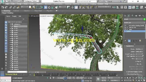 3dsmax树木植物实例制作视频教程 PLURALSIGHT CREATING LOW POLY TREES IN 3DS MAX的图片3