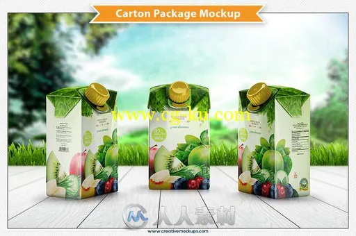 果汁软性纸质包装展示PSD模板Carton Package Mockup的图片1