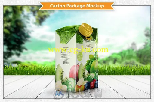 果汁软性纸质包装展示PSD模板Carton Package Mockup的图片2