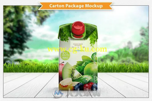 果汁软性纸质包装展示PSD模板Carton Package Mockup的图片3