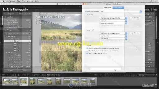 Lightroom简化图像处理工作流程技术训练视频教程 Lightroom Customizing Tips and ...的图片4