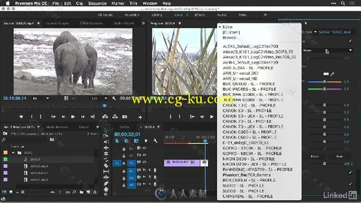 Premiere中GuruLUTs与Look专业调色预设高效使用技巧视频教程 Premiere Pro Guru LU...的图片3