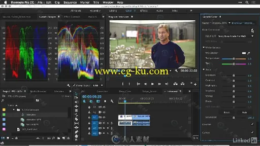 Premiere中GuruLUTs与Look专业调色预设高效使用技巧视频教程 Premiere Pro Guru LU...的图片4