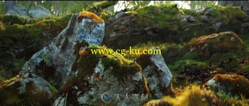 Quixel MegaScan Suite高精度纹理材质贴图扫描软件V0.870版 MEGASCANS STUDIO 0.87...的图片1