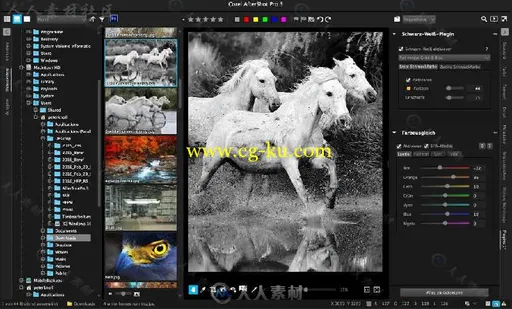 AfterShot Pro数码照片管理和处理软件V3.1.0.181版 COREL AFTERSHOT PRO 3.1.0.181...的图片1