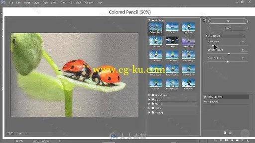 Photoshop CC滤镜使用技巧视频教程 PLURALSIGHT PHOTOSHOP CC WORKING WITH FILTERS的图片3