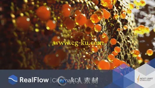 RealFlow流体动力学模拟C4D插件V1.0.2版 NEXTLIMIT REALFLOW CINEMA 4D V1.0.2 WI...的图片1