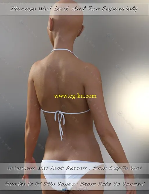 DAZ3D超精细泳装皮肤形象3D模型合辑 DAZ3D Wet and Tanned Skins for Genesis 3的图片1