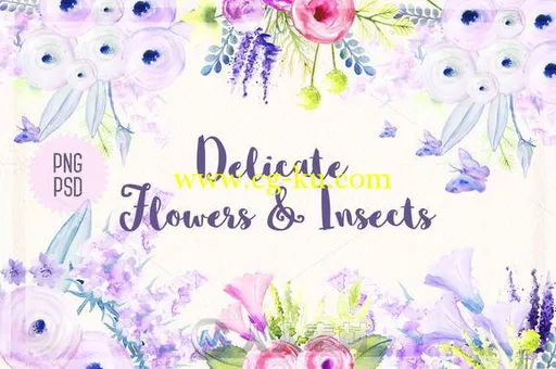 水彩风格花和昆虫展示PSD模板Delicate Flowers & Insects的图片1