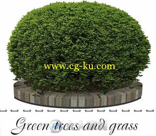 绿树和花草立面第一版PSD模板Green trees and grass PSD的图片3