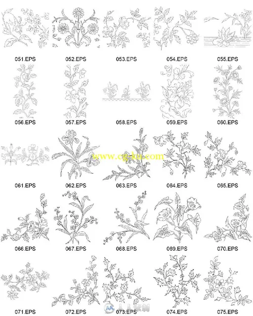 白描花卉植物矢量素材包的图片3