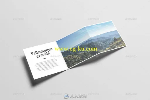 Z形折叠宣传册PSD模板Square Z-Fold Brochure Mock-Up Graphic的图片1