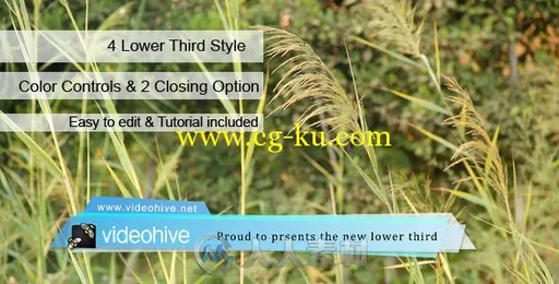 企业商务简单实用字幕条标题动画AE模板 Videohive Lower Third 5768490的图片1