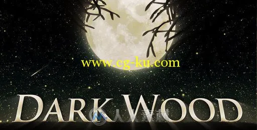 炫酷阴暗的森林幻灯片电影开场AE模板 Videohive Dark Wood 97362的图片1