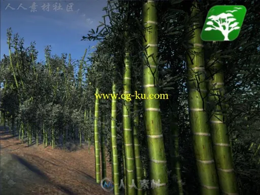 高质量的竹树包植物模型Unity3D素材资源的图片1