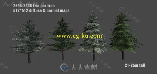 详细的松树植物模型Unity3D素材资源的图片3