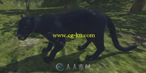 动物包角色模型Unity3D素材资源的图片4