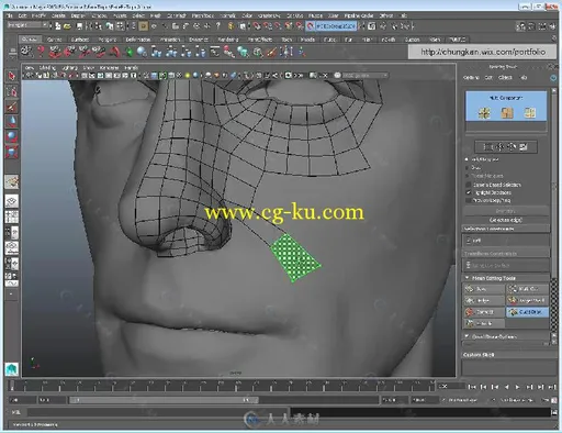 Maya男性脸部建模实例制作视频教程 Gumroad Human Face Topology For Production b...的图片1