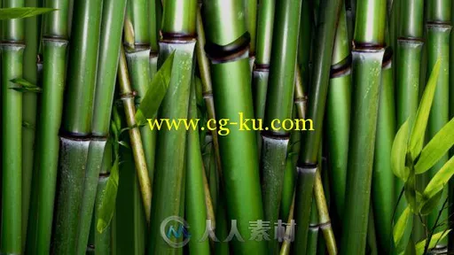 时尚漂亮的自然标志显示LOGO演绎AE模板 Videohive Nature Logo Revealer的图片3