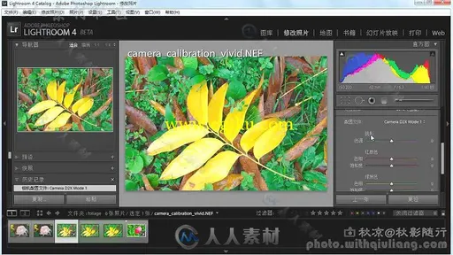 Lightroom4 中文基础视频教程 全集77下载的图片10