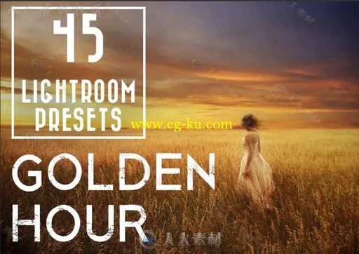 45组美丽的金色落日Lightroom预设的图片1