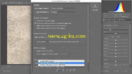 PS中Camera Raw插件图像修饰实例训练视频教程 OREILLY ADOBE CAMERA RAW WORKFLOW的图片1