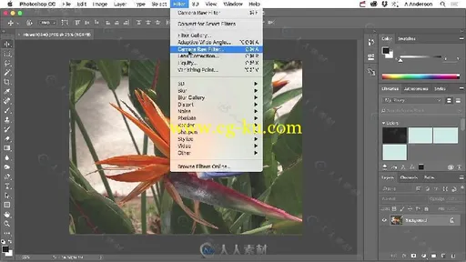 PS中Camera Raw插件图像修饰实例训练视频教程 OREILLY ADOBE CAMERA RAW WORKFLOW的图片2