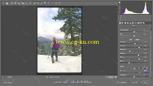 PS中Camera Raw插件图像修饰实例训练视频教程 OREILLY ADOBE CAMERA RAW WORKFLOW的图片3