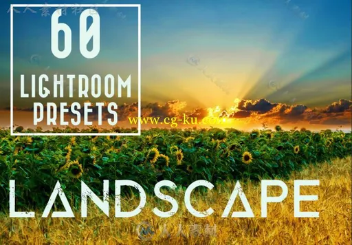 60组清晰明亮的风景调色Lightroom预设的图片1