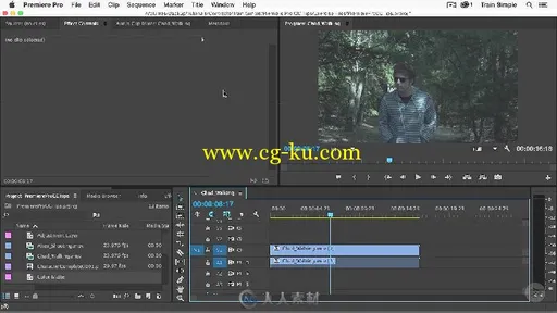 Premiere Pro CC高效工作技巧训练视频教程 PLURALSIGHT PREMIERE PRO CC TIPS的图片1