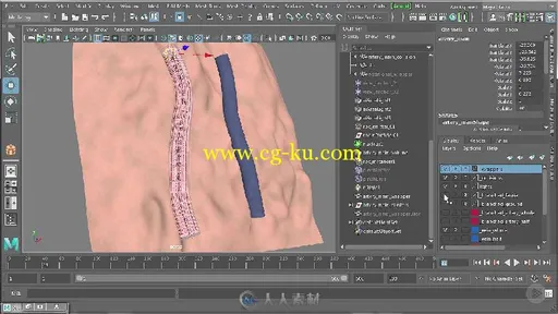 Maya人体血液流动动画特效实例制作视频教程 PLURALSIGHT ANIMATING BLOOD FLOW IN ...的图片3