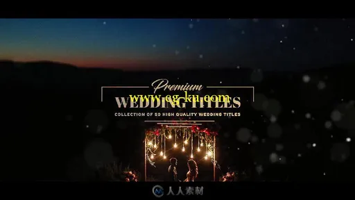 高级独特光粒子婚礼标题动画AE模板 Premium Wedding Titles的图片5