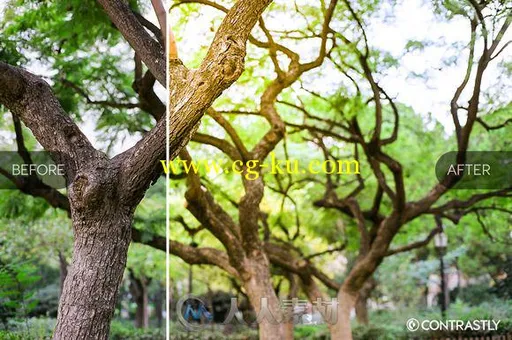 阳光下照片调色lightroom预设CM - Solar Spots Lightroom Presets 366326的图片3