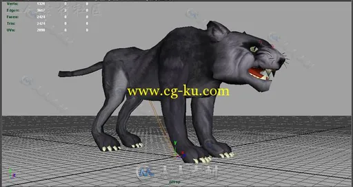 动画大猫哺乳动物角色模型Unity3D素材资源的图片2