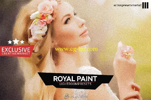 皇家绘画艺术特效lightroom预设Royal Paint Lightroom Presets的图片1