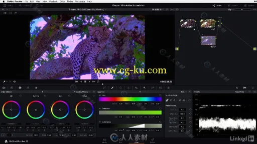 DaVinci达芬奇12高级色彩分级技术视频教程更新版 DaVinci Resolve 12 Advanced Col...的图片5