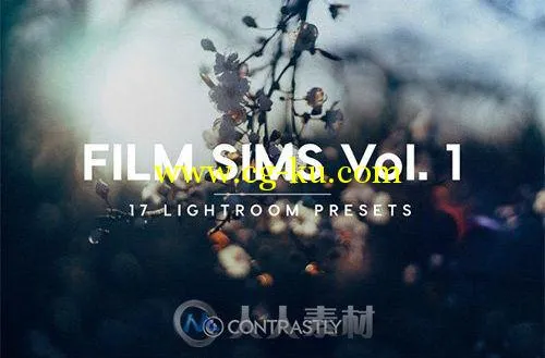 模拟电影照lightroom预设344058-Film-Sims-Vol.-1-Lightroom-Presets的图片2