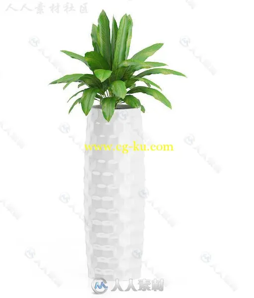 31组高精度植物花卉室内饰品3D模型合辑 CGAXIS VOL 60 PLANTS IV的图片1