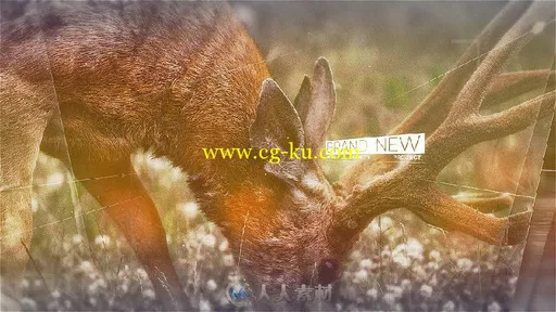 时尚大气的视差幻灯片相册动画AE模板 Videohive Clean Slideshow 18537057的图片3