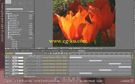 AE晋级之路系列视频教程第四季 - 图层控制技术 After Effects Apprentice 04 Layer...的图片6